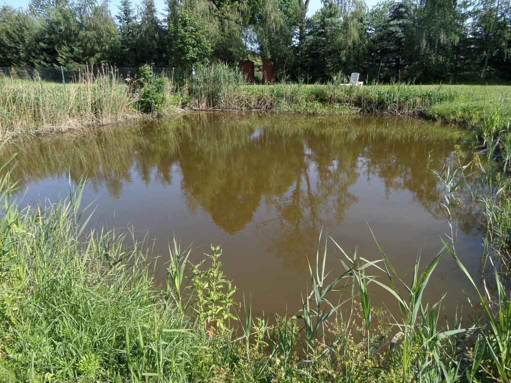 Agroturystyka Pod Podkowa Villa Mrągowo Exteriör bild