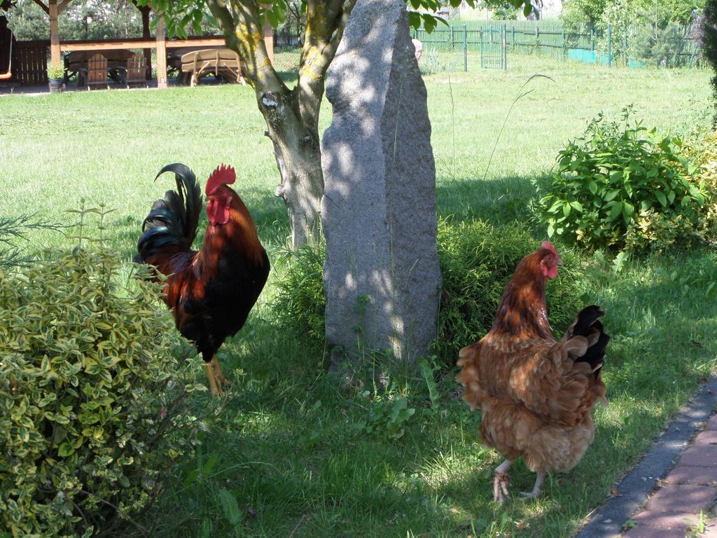 Agroturystyka Pod Podkowa Villa Mrągowo Exteriör bild